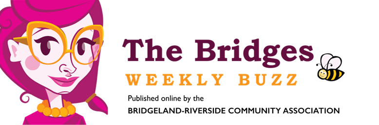 The Bridges Weekly Buzz