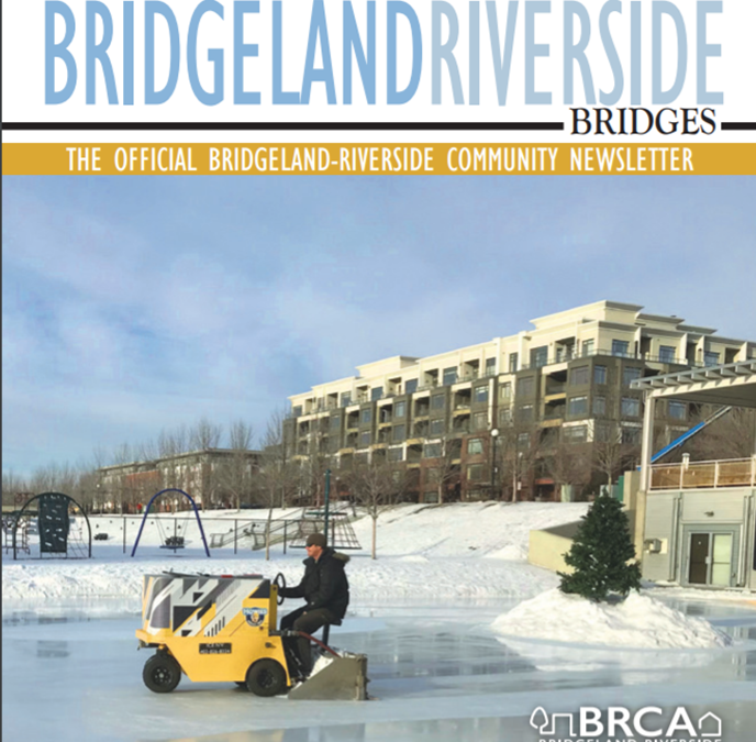 Bridges Newsletter February 2022