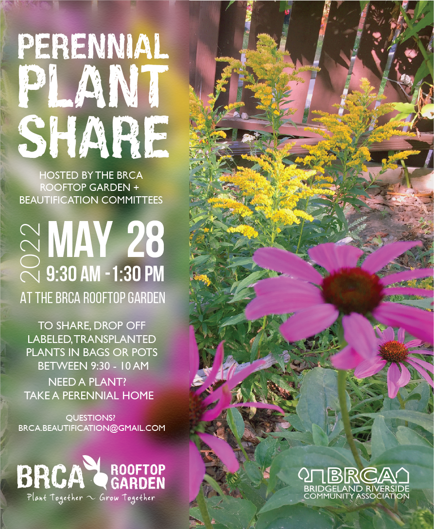 Perennial flower garden with overlaid text - BRCA Perennial Plant Share May 28, 2022