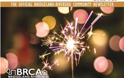 The Bridges Newsletter – January 2024