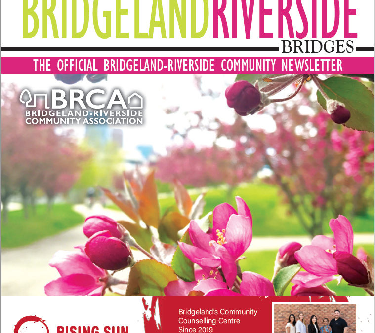 The Bridges Newsletter – May 2024