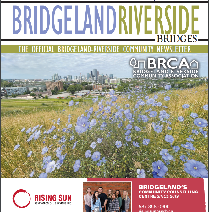 The Bridges Newsletter – August 2024